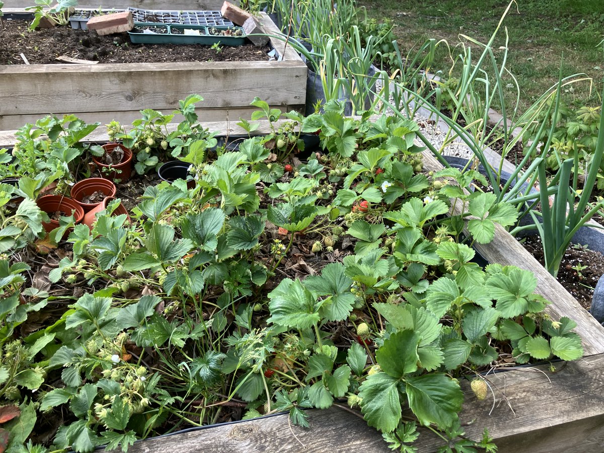 Milnsbridge Village Hall. tweet media