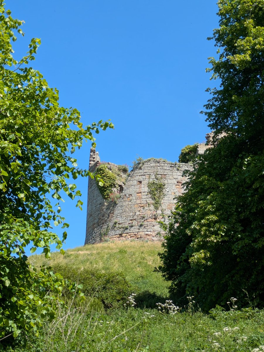 🚶‍♀️🌳One week on from #OutAndAboutArchaeology, we’re looking back at the lovely (&amp; wacky) places we explored on our fundraising walks. Spot anywhere familiar?   

There's still time to donate! Help us inspire more people to connect with archaeology  👉justgiving.com/campaign/outan…
