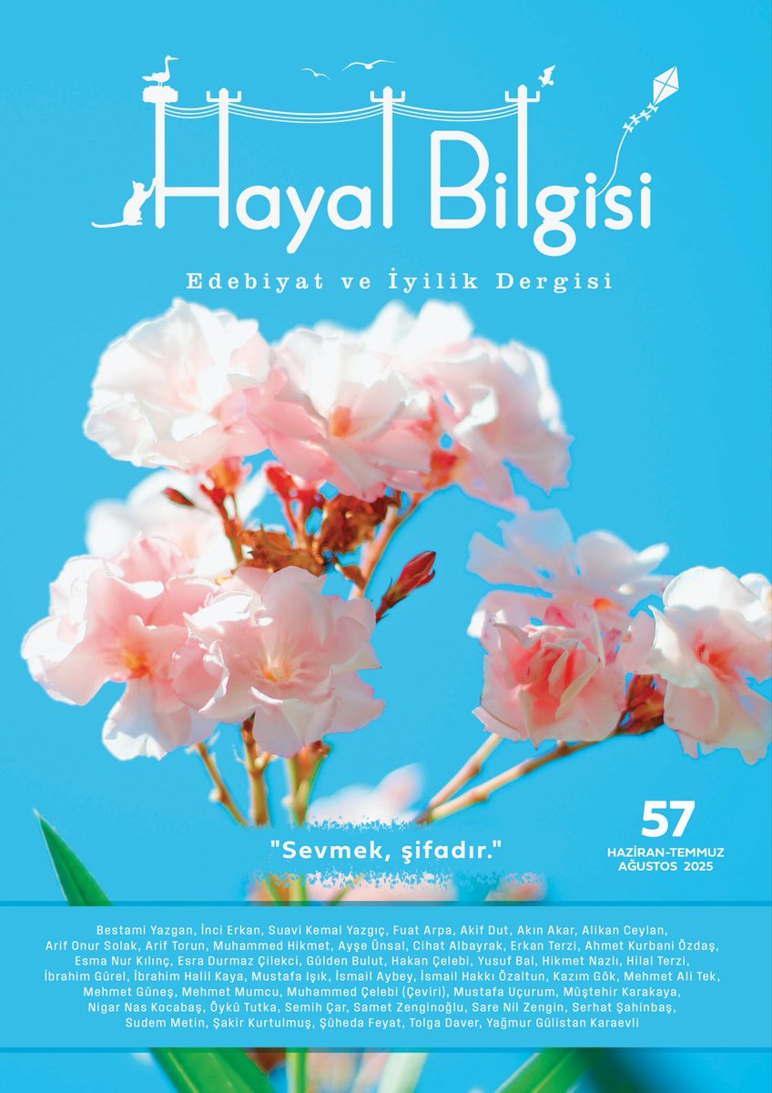 HAYAL BİLGİSİ 57: SEVMEK ŞİFADIR