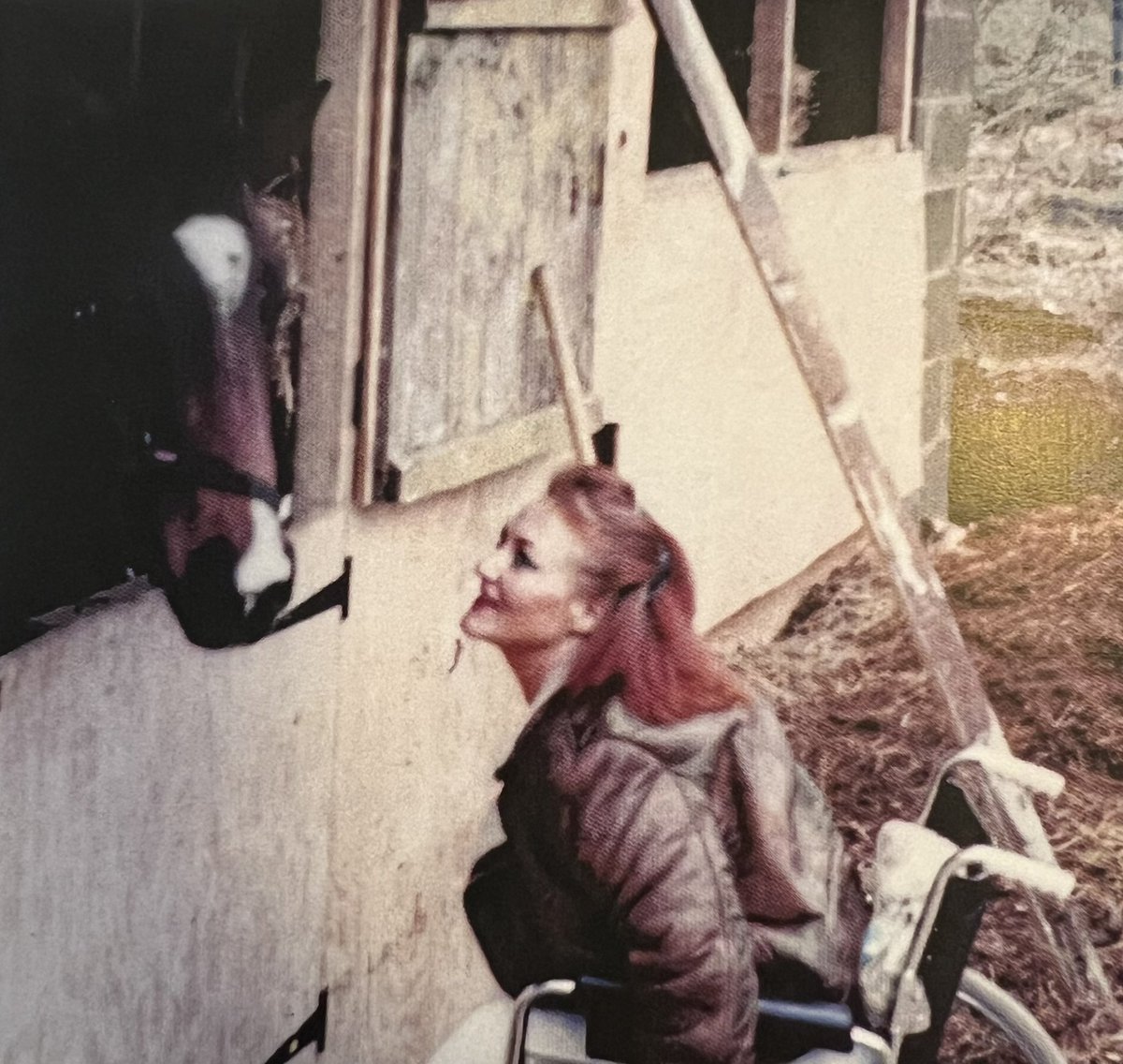 𝑦𝘢𝑧 tweet media