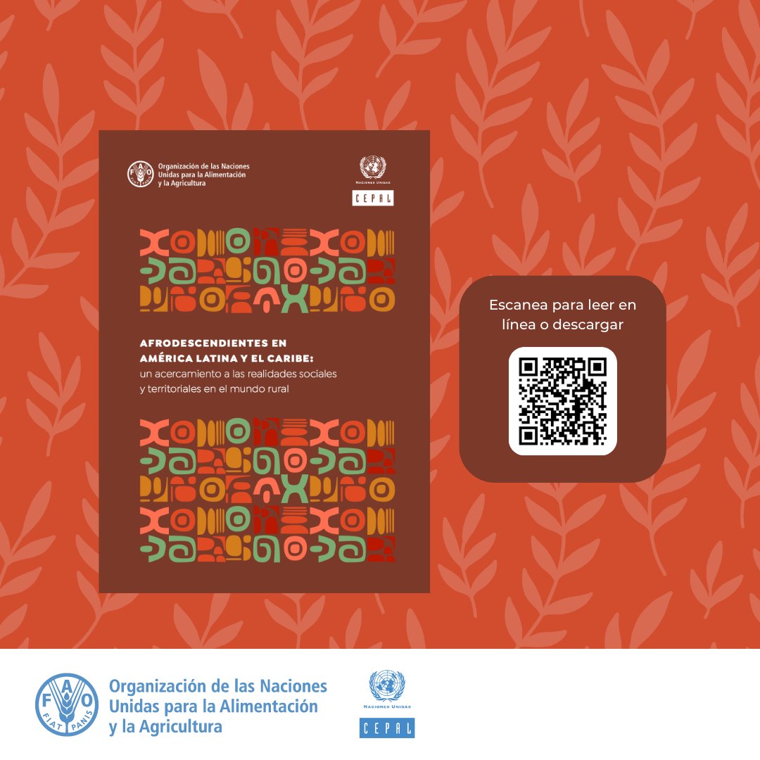 FAOAmericas's tweet photo. Garantizar derechos territoriales y reconocimiento identitario es clave para transformar las condiciones de vida de los pueblos #Afrodescendientes rurales. 

📖Lee el nuevo informe 

@FAOAmericas y cepal_onu 

➕ https://t.co/fZ1JIfdCs2 https://t.co/wf03OM2Zyg