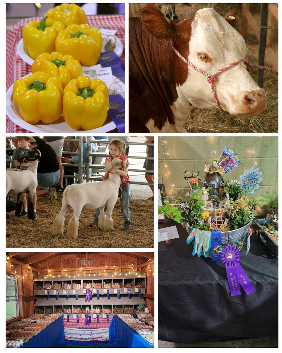 Williamson County Fair tweet media