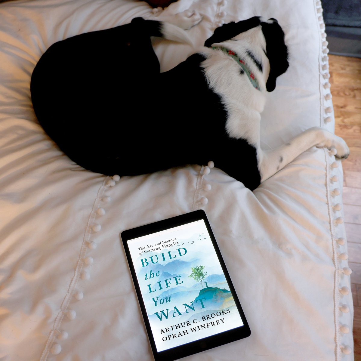 Portfolio Books (@portfoliobooks) on Twitter photo Why wait for the world to change when you can get happier today? 🌅
In their New York Times bestseller BUILD THE LIFE YOU WANT, authors <a href="/arthurbrooks/">Dr. Arthur Brooks</a> and <a href="/Oprah/">Oprah Winfrey</a> reveal how managing your emotions can transform your life with lasting results. Why wait for the world to change when you can get happier today? 🌅
In their New York Times bestseller BUILD THE LIFE YOU WANT, authors <a href="/arthurbrooks/">Dr. Arthur Brooks</a> and <a href="/Oprah/">Oprah Winfrey</a> reveal how managing your emotions can transform your life with lasting results.