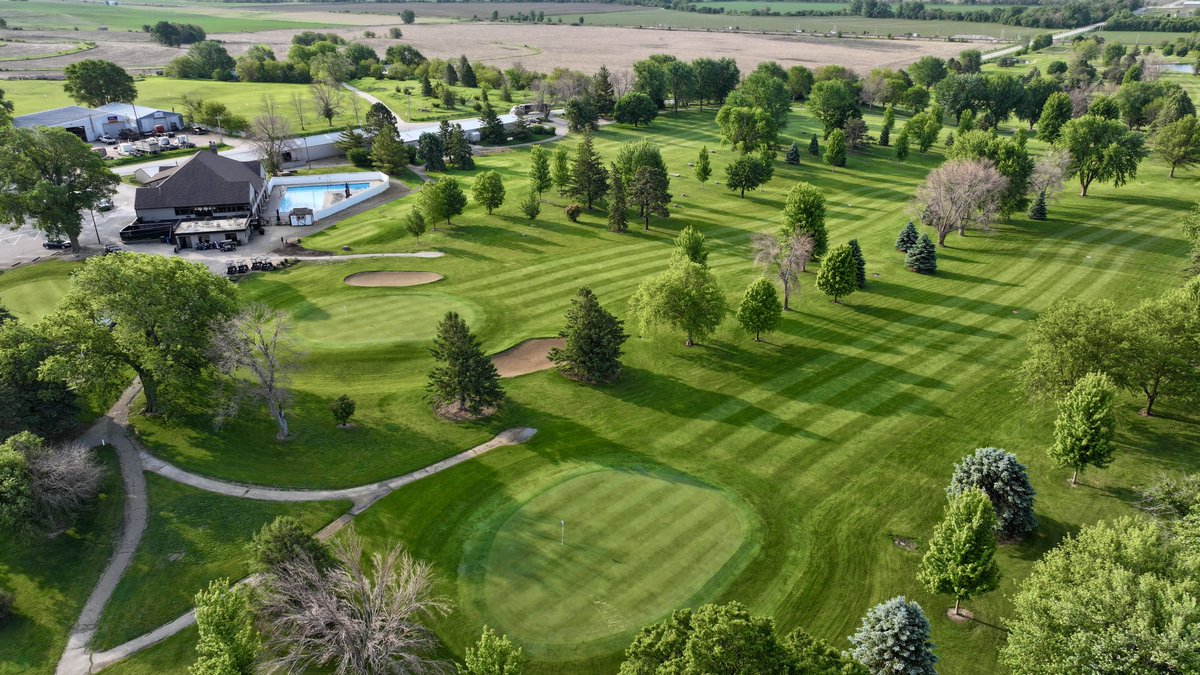 David Blum tweet media