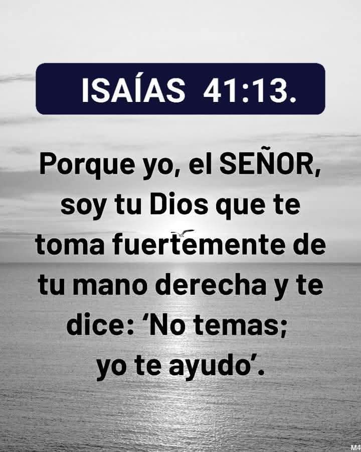 Maco_Rodas's tweet image. 🌾⚡️