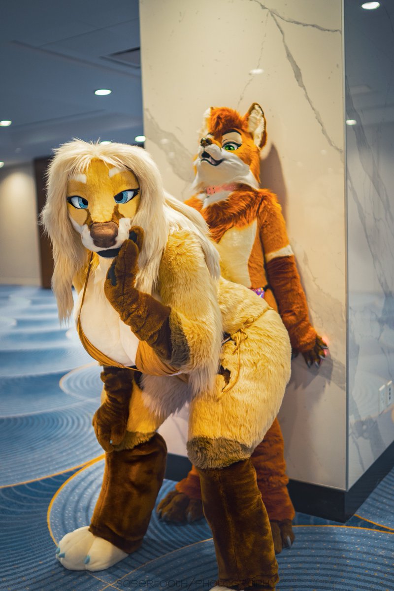 Happy birthday to the sweetest fox 💕
<a href="/Mochalattefox/">Mocha 🧡</a> 

📸 <a href="/vsabertoothv/">BIG KING SABER 🔜 AC</a>