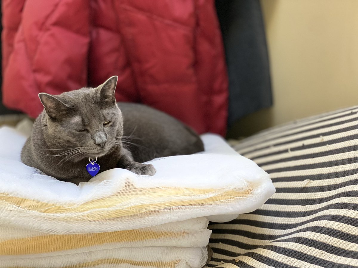 When you take the patio furniture cushion covers off to wash them and try to clean things up! 😹