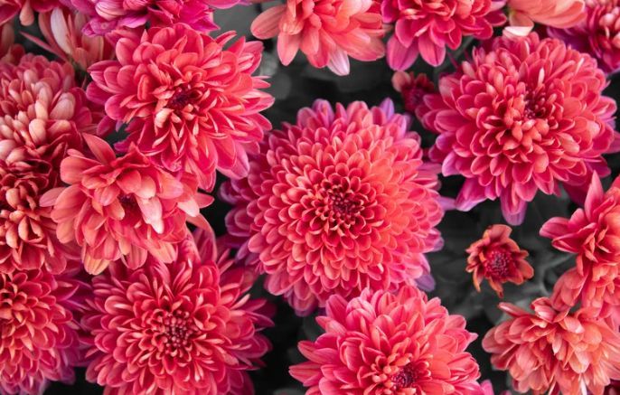This first summer of the empty nest is different.
So are you.
Here’s how to embrace it👇
katebattistelli.com/the-after-part…
#NewRhythms #EmptyNestShift #FaithEmbrace