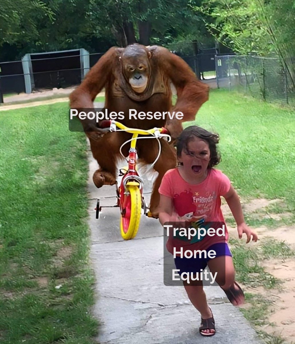 Meme of the day ⚡️🤣⚡️ Bitcoin Powered Mortgages work both ways...  Transform Home equity into $BTC equity OR post Bitcoin as pristine  collateral to buy your dream home. Lets see your best