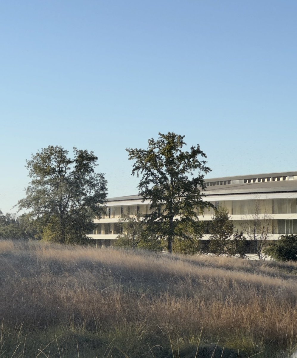 Eli Guerron tweet media