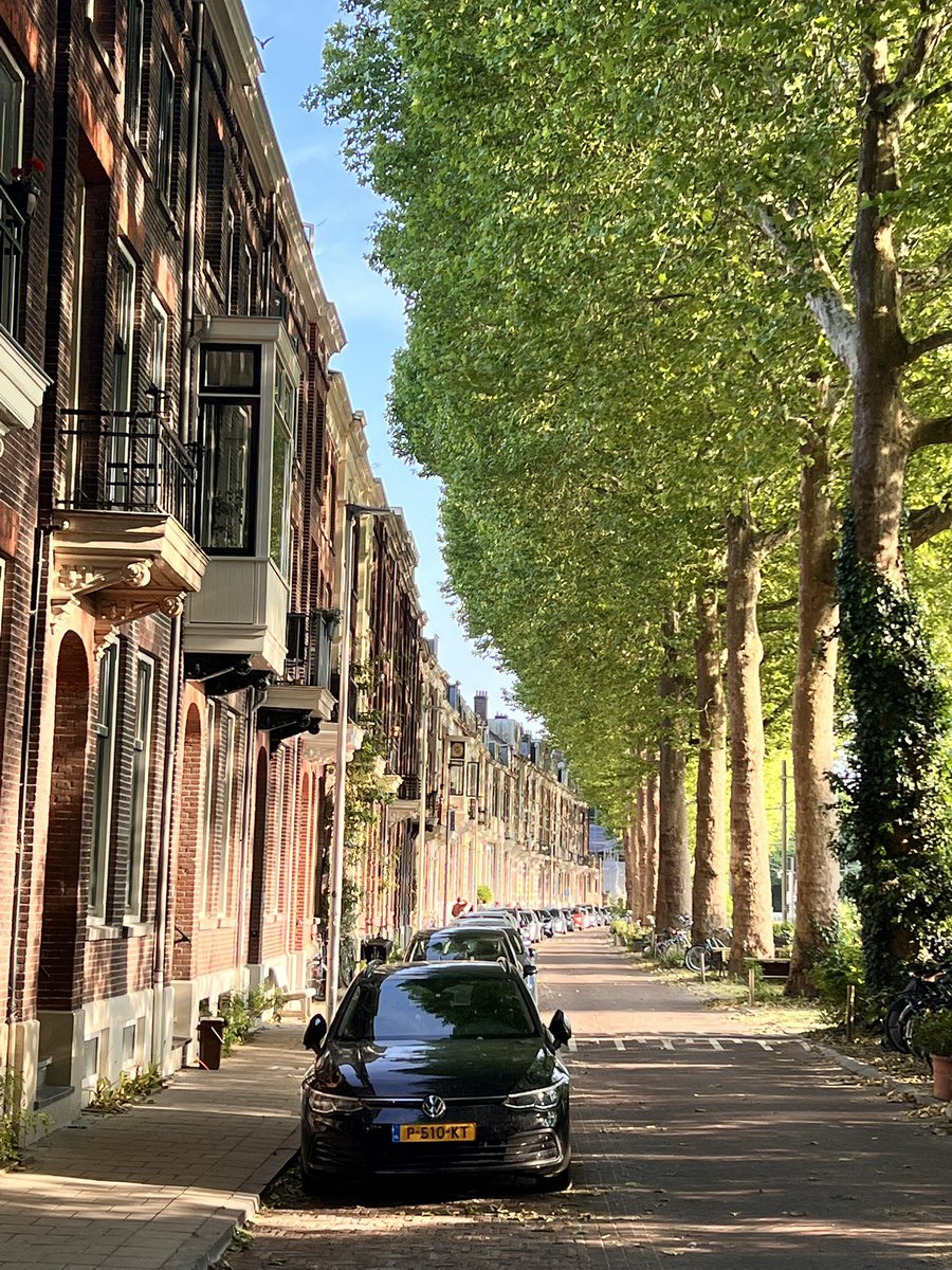 wim boevink🐦‍⬛ tweet media