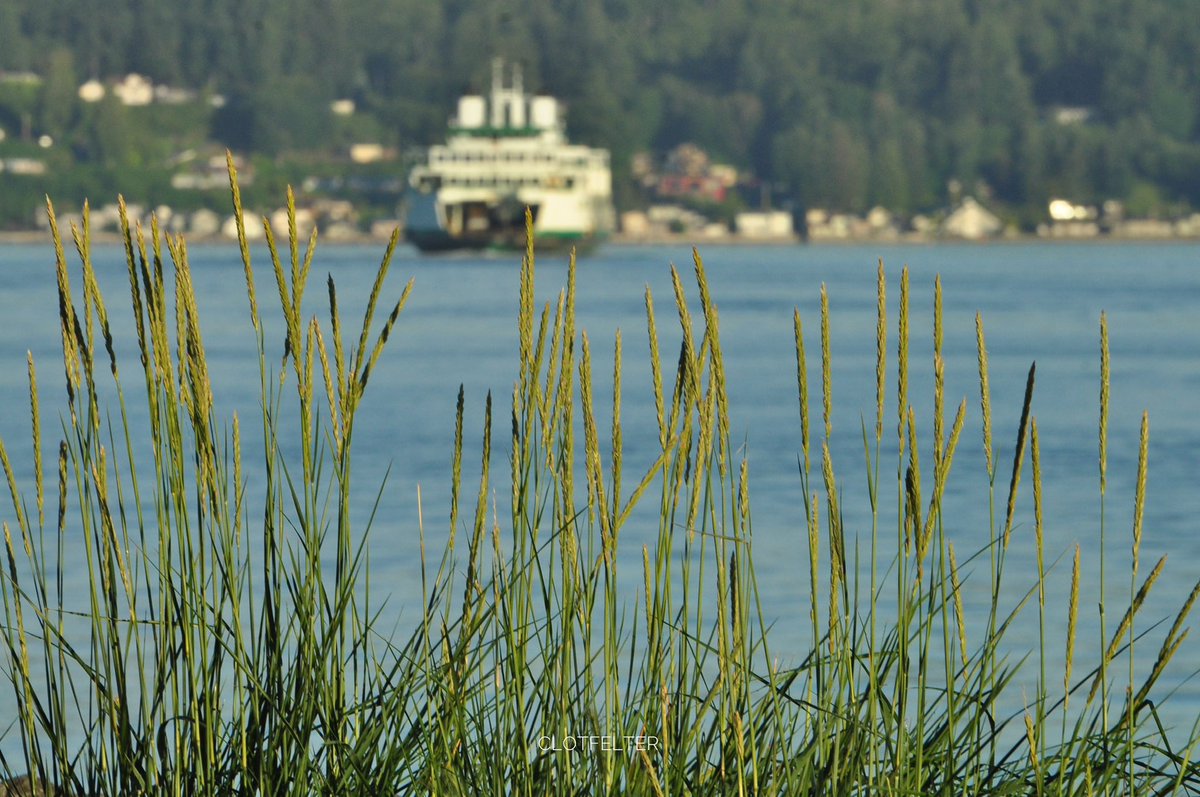 Don Clotfelter (@donclotfelter) on Twitter photo Ferry Friday ๐
#Mukilteo #WSF
<a href="/ShannonODKOMO/">Shannon O'Donnell</a> <a href="/wheeler244/">Wheels (Sean)</a> <a href="/TheresaArbowOC/">Theresa Arbow-O'Connor</a> <a href="/The_Weatherman2/">Matthew Pfab</a> <a href="/JLWCPA2/">Jeanne</a> Ferry Friday ๐
#Mukilteo #WSF
<a href="/ShannonODKOMO/">Shannon O'Donnell</a> <a href="/wheeler244/">Wheels (Sean)</a> <a href="/TheresaArbowOC/">Theresa Arbow-O'Connor</a> <a href="/The_Weatherman2/">Matthew Pfab</a> <a href="/JLWCPA2/">Jeanne</a>