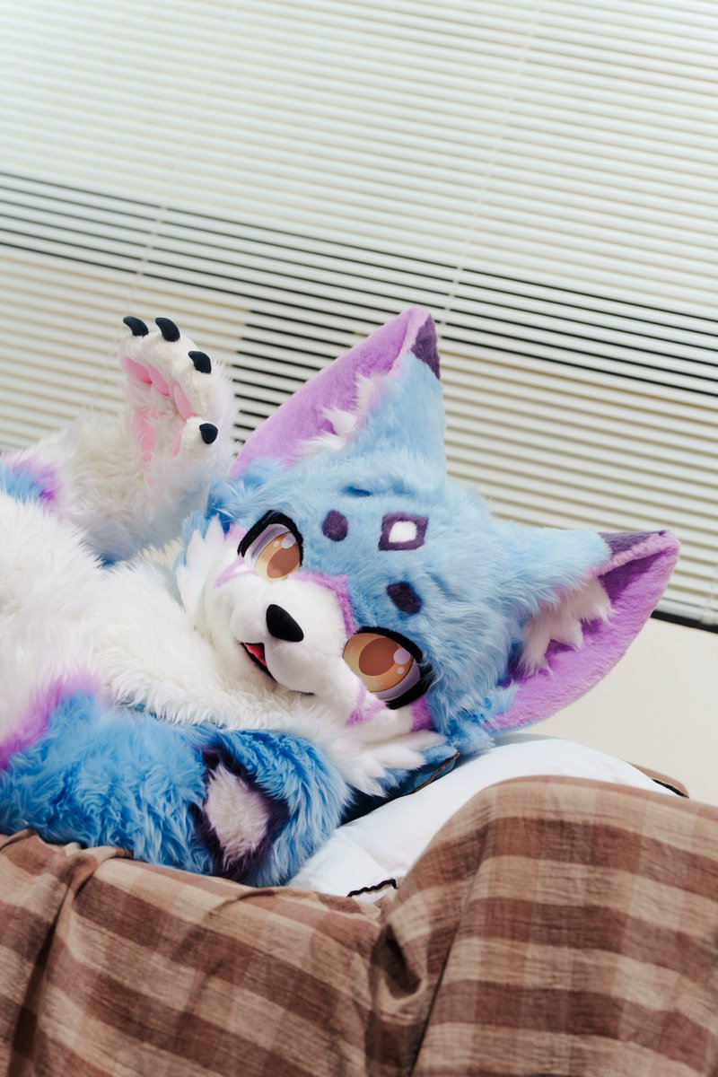 #FursuitEveryday #fursuit 
좋은아침이야!☀️
