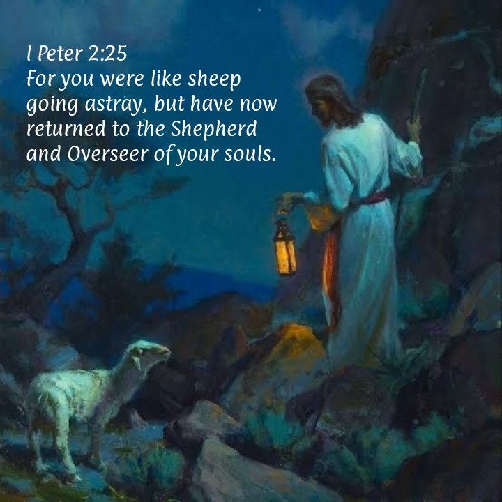 🔥❤️‍🔥🔥