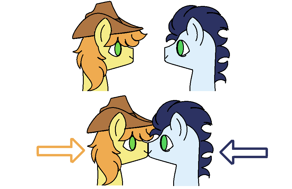 Why stallions have flat muzzles