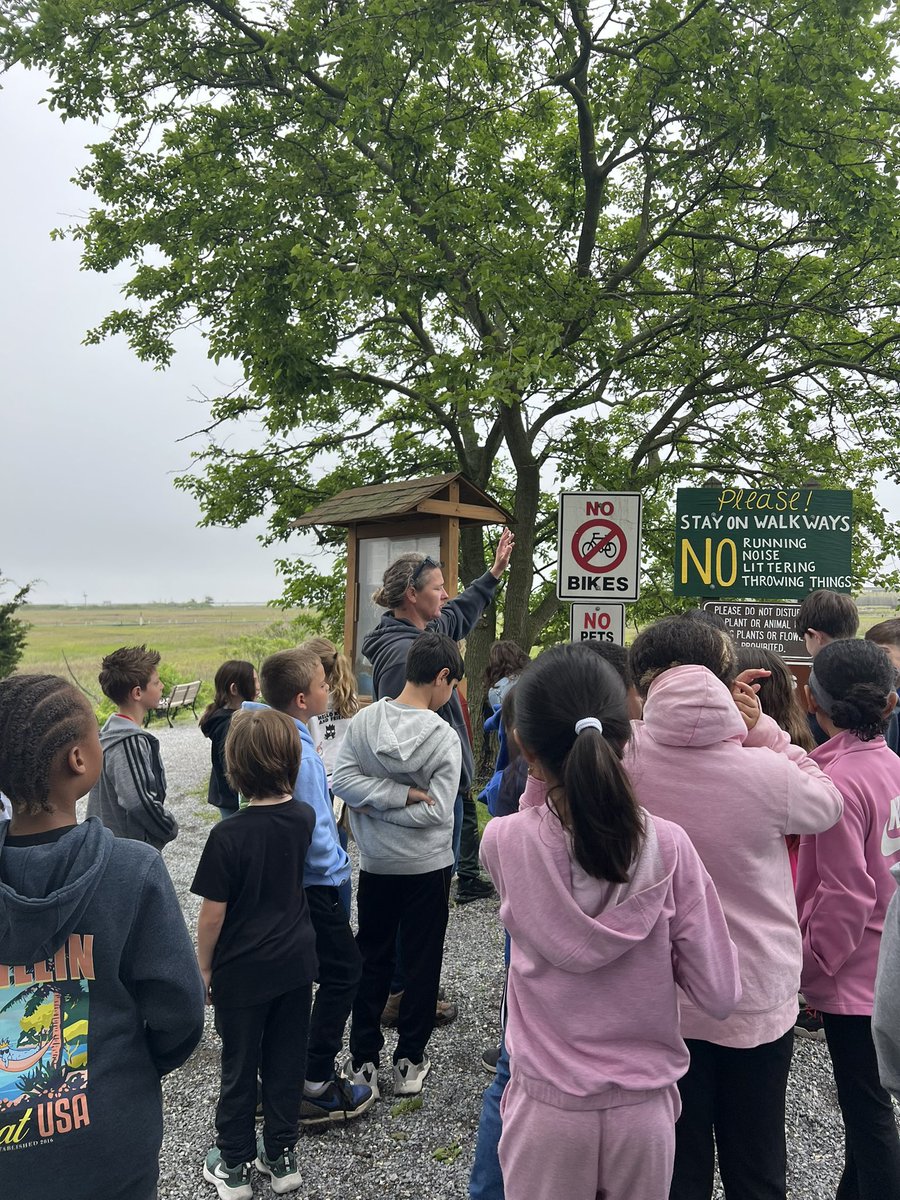 MsRedaelli tweet media