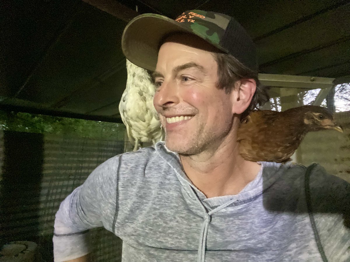 michaelmuhney's tweet photo. just my two 9wk old chicks who are convinced they are parrots and fly up and sit on my shoulders every time they see me #Olivia #JanisJoplin https://t.co/mWNKKIAK75