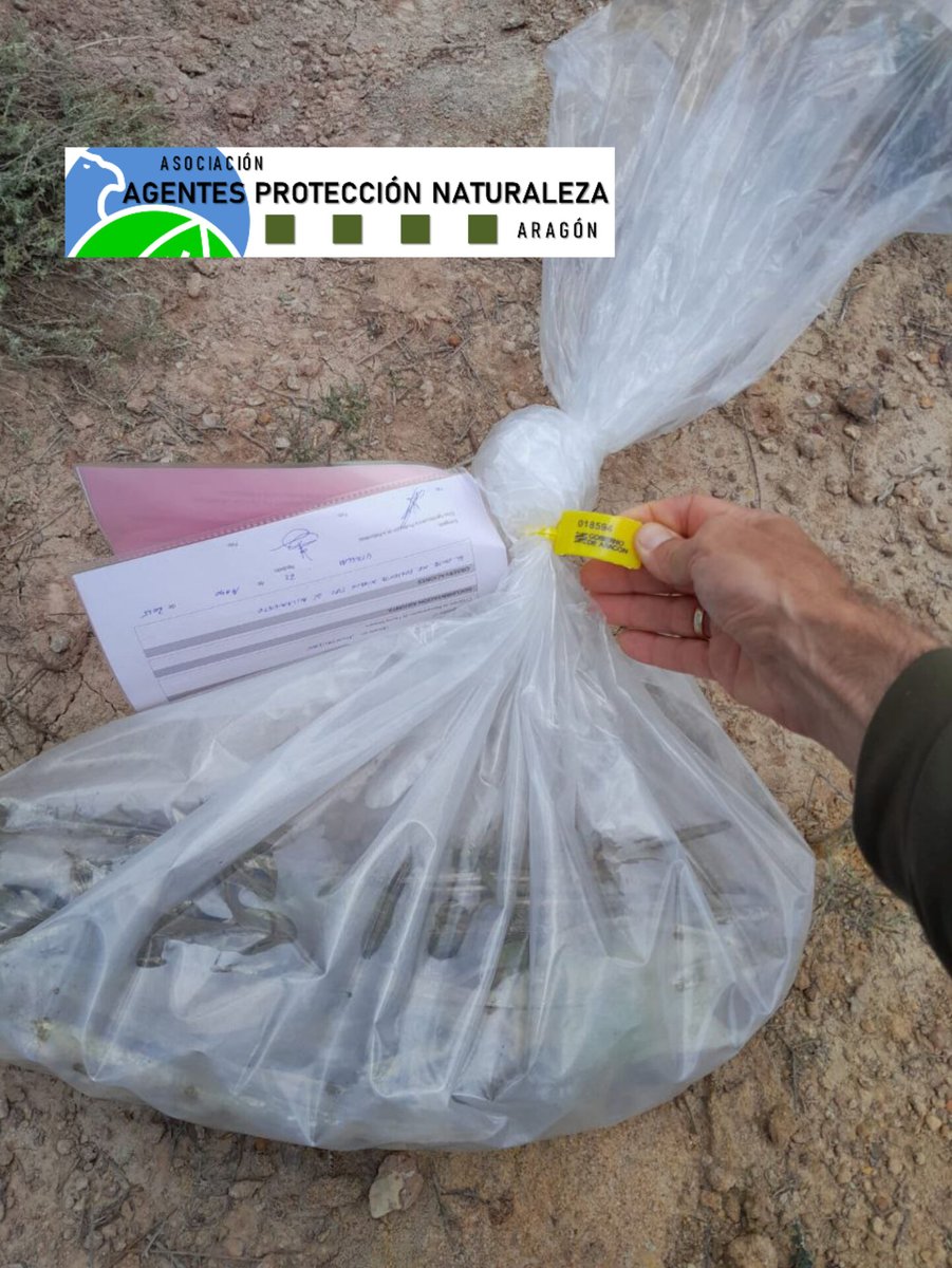 Formación permanente del colectivo de Agentes de Protección de la Naturaleza.
Gracias a Paco Serrano (APN del Bajo Martin), jornada teórico-práctica sobre los riesgos de electrocución para la avifauna en tendidos eléctricos y correcta recogida de cadáver.

#apn
