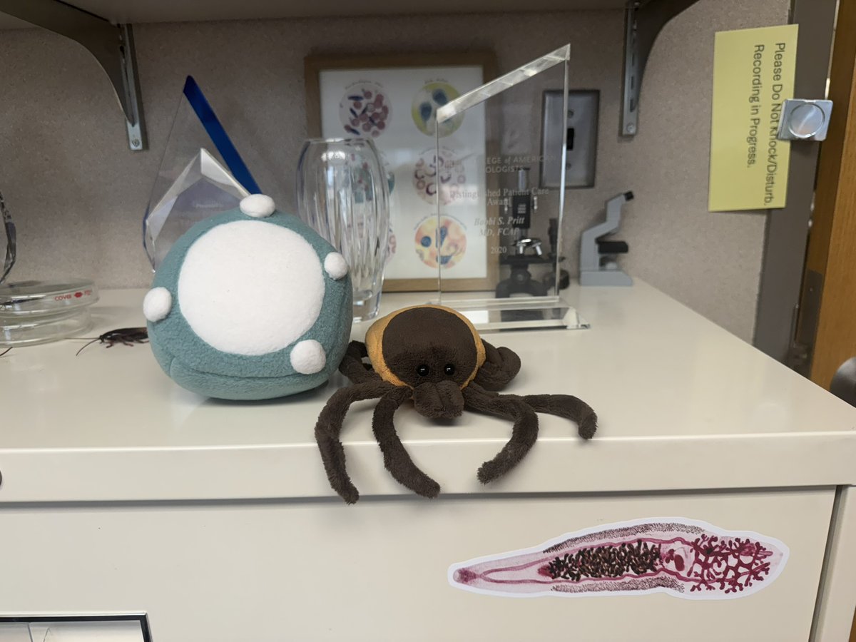Bobbi Pritt, MD (@parasitegal) on Twitter photo I'm so excited to have 'Blasti' join my office! Many thanks to <a href="/BlastocystisC/">BlastocystisCOST</a> for Blasti and their great work in the field. I'm so excited to have 'Blasti' join my office! Many thanks to <a href="/BlastocystisC/">BlastocystisCOST</a> for Blasti and their great work in the field.