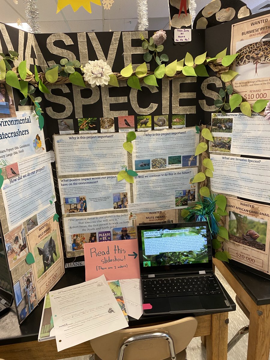 Some of our Going Green 6th Grade Science projects.