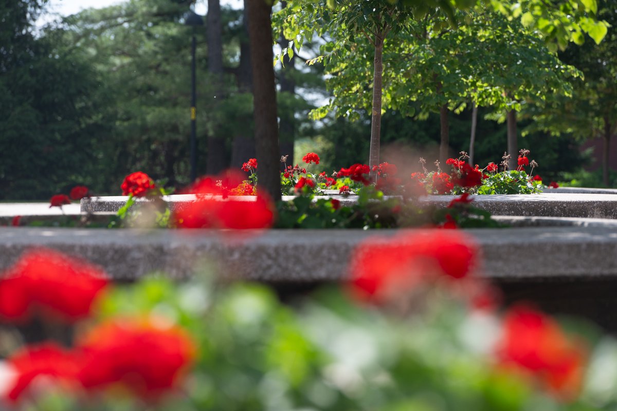 Campus may be quieter, but the summer sun still brings this campus to life! 🌞
 
#SIUE #SIUEdwardsville