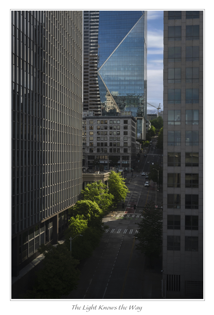 The Light Knows the way
I love watching the morning light as it finds it way through the alleyways and streets of Seattle. 

#architecture #architecturephotography #seattlewashington #louisruthphotography