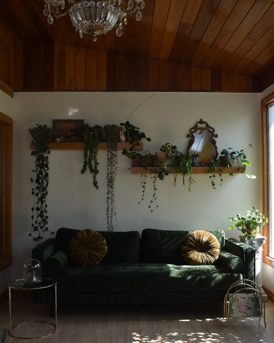 interiorstellar (@interiorstellar) on Twitter photo 