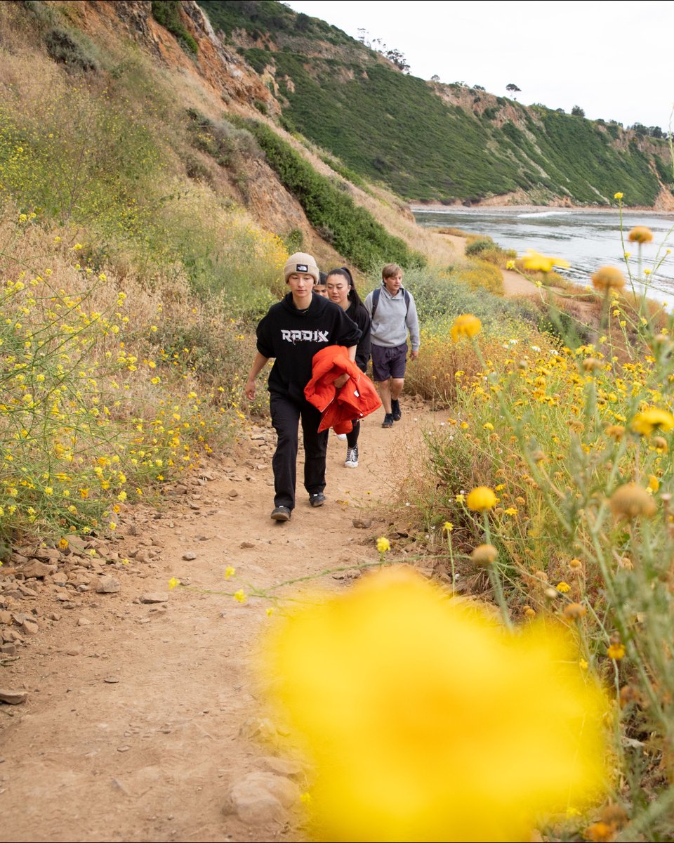 From golden sunsets to movie nights to research in the great outdoors — summers on the bluff are one of a kind! 🌊🌴☀️
