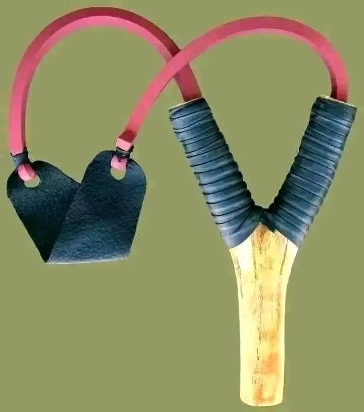 Varan 🐊 2.0🇨🇮 tweet media