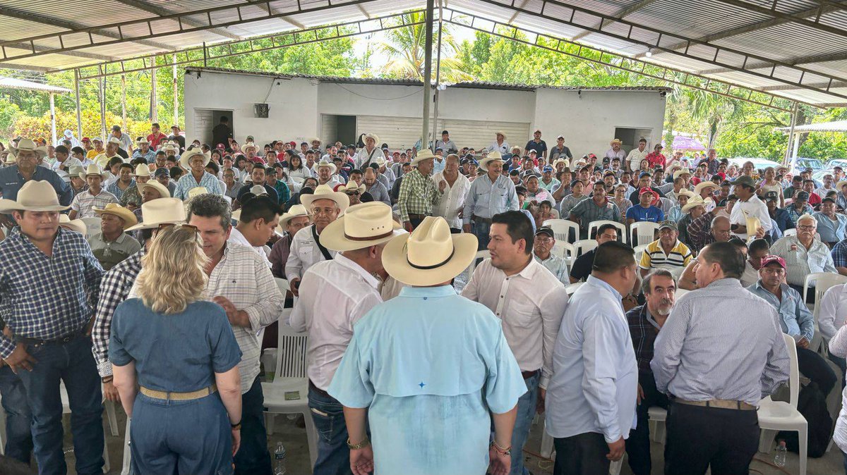 Gobierno de Chiapas refuerza acciones contra el Gusano Barrenador facebook.com/SagypChiapas/p…
