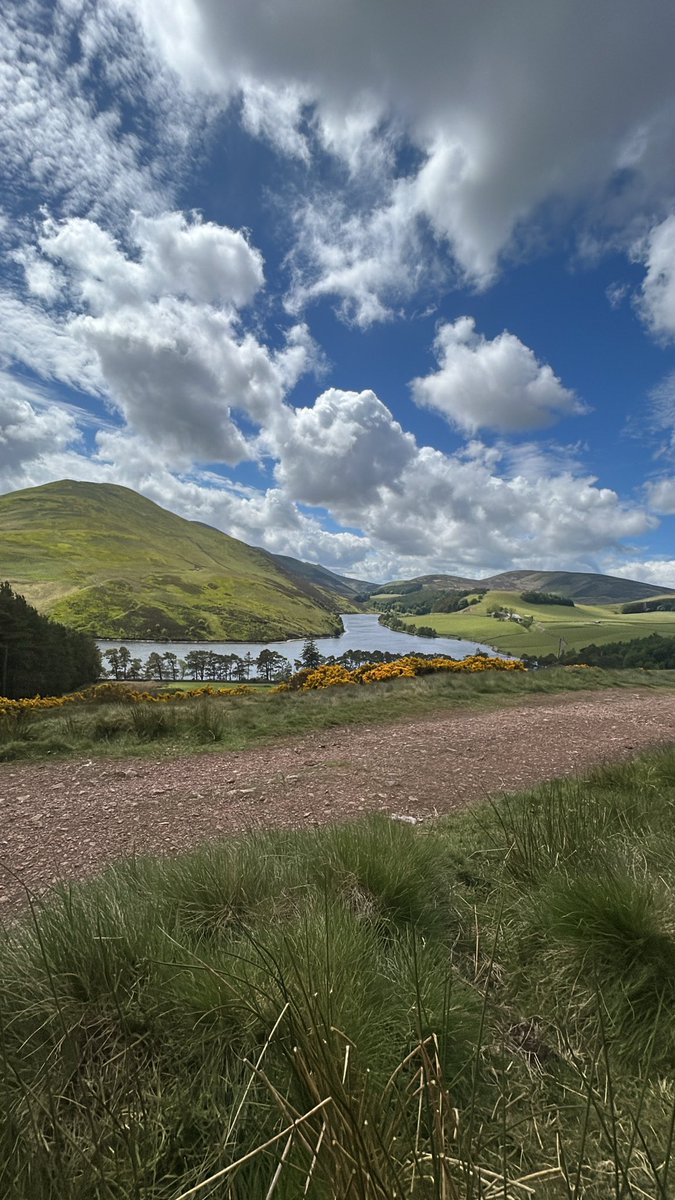 Miss Doran tweet media