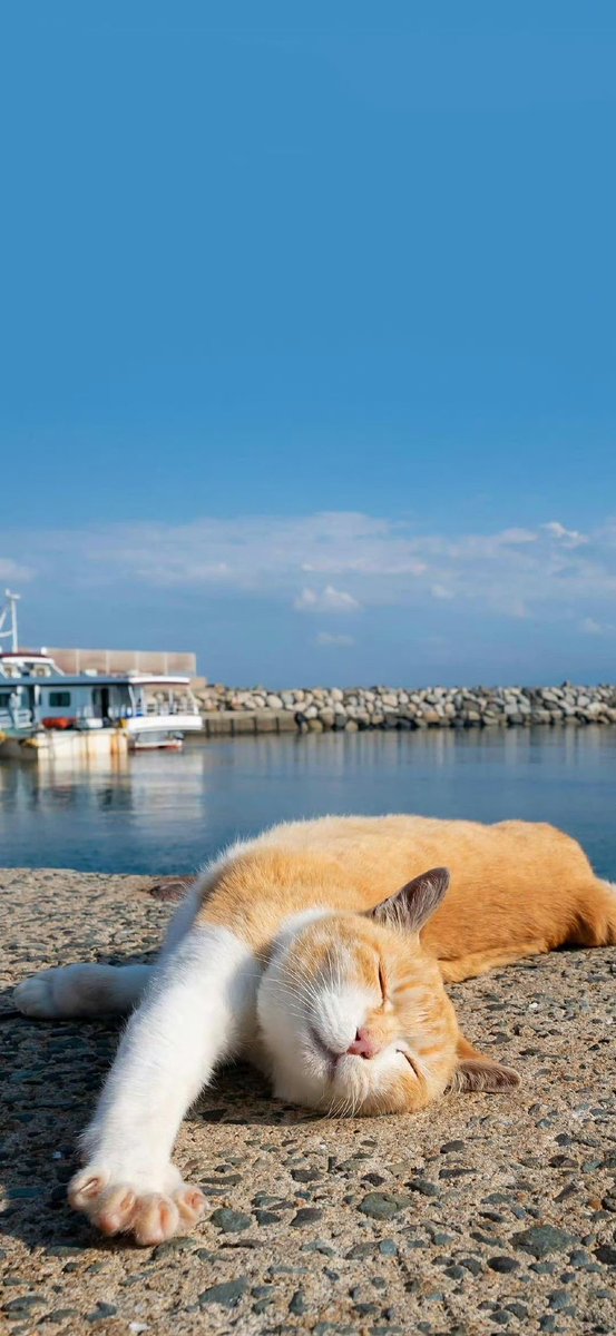 皆さんおはようございます🥱☀️
なんだかX不具合ですかね🤔
ポスト表示が見えない🤣
一時的な不具合ならいいのですが🥹
さて今日は色々動いてきます⚽️
奇跡の土日をそれぞれにいい時間をお過ごしくださいね💕︎
そこに笑顔もあればさらに良し⌯>ᴗ<⌯ಣ