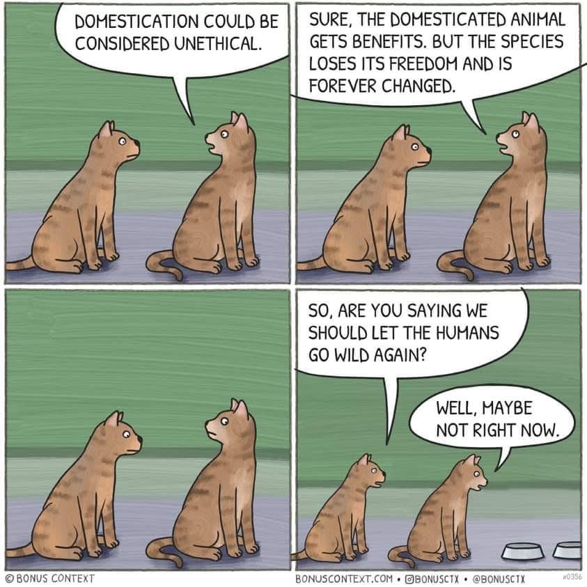 Dr. Lynne De Weaver (@l_deweaver) on Twitter photo G’day! Hope you have a good #Caturday! <a href="/djshaneday/">Shane</a> <a href="/ricklevy67/">Au Purrr , #IStandWithUkraine</a> <a href="/JoJomills13/">Jo Mills</a> <a href="/RBJRON/">💧Ron Jones❄💧</a> <a href="/blakandblack/">blakandblack</a> <a href="/AvisM/">Avis Williamson</a> <a href="/BelindaJones68/">💧Bee 🐝🌿❤</a> <a href="/ellisoconnor/">Champagne Dame of Oz-NukeFreeAustralia</a> <a href="/RussHogarth/">Russell Hogarth</a> <a href="/chromecastings/">Toms Dad</a> <a href="/CousinsKevin100/">kevin cousins</a> <a href="/CaptainTurt1e/">Captain Turtle</a> <a href="/jmil400/">💧 Johny Miller (jmil4000@bsky.social)</a> <a href="/edumak8/">BiBi</a> <a href="/Lochness4000/">Scott Jones</a> <a href="/LadyPoop2/">Lady Pooh ( Crazy Sewer Rat )</a> <a href="/xskinn/">Ian Graves. And it’s just so good to be alive 😎</a> <a href="/DrKhan_do/">Dr Nagina Khan</a> <a href="/GoldCoastNurse/">Gold Coast Nurse</a> G’day! Hope you have a good #Caturday! <a href="/djshaneday/">Shane</a> <a href="/ricklevy67/">Au Purrr , #IStandWithUkraine</a> <a href="/JoJomills13/">Jo Mills</a> <a href="/RBJRON/">💧Ron Jones❄💧</a> <a href="/blakandblack/">blakandblack</a> <a href="/AvisM/">Avis Williamson</a> <a href="/BelindaJones68/">💧Bee 🐝🌿❤</a> <a href="/ellisoconnor/">Champagne Dame of Oz-NukeFreeAustralia</a> <a href="/RussHogarth/">Russell Hogarth</a> <a href="/chromecastings/">Toms Dad</a> <a href="/CousinsKevin100/">kevin cousins</a> <a href="/CaptainTurt1e/">Captain Turtle</a> <a href="/jmil400/">💧 Johny Miller (jmil4000@bsky.social)</a> <a href="/edumak8/">BiBi</a> <a href="/Lochness4000/">Scott Jones</a> <a href="/LadyPoop2/">Lady Pooh ( Crazy Sewer Rat )</a> <a href="/xskinn/">Ian Graves. And it’s just so good to be alive 😎</a> <a href="/DrKhan_do/">Dr Nagina Khan</a> <a href="/GoldCoastNurse/">Gold Coast Nurse</a>