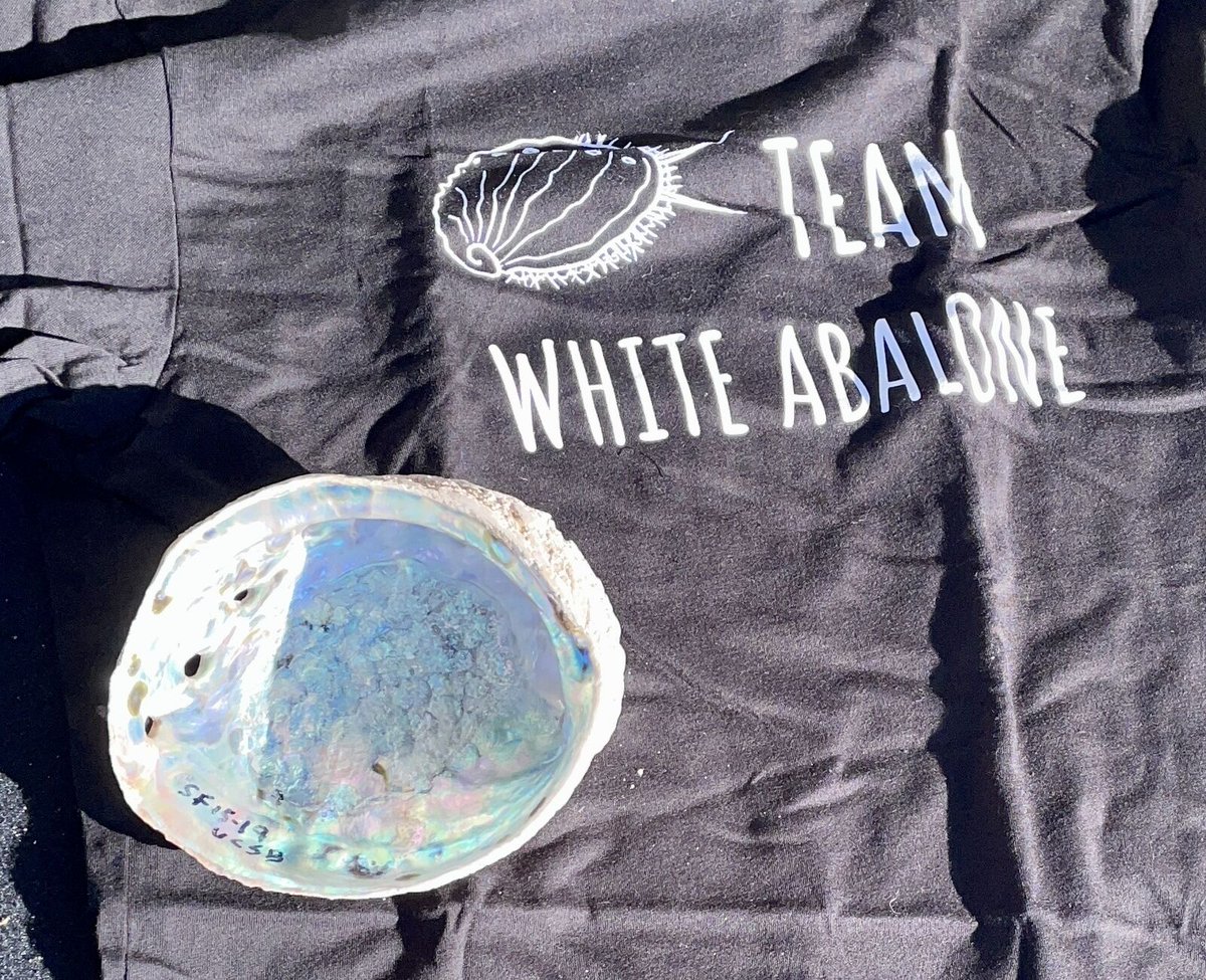 lighthawk_org's tweet image. #PilotViewFriday 
Meet Michiko Saylor, an incredible LH volunteer pilots helping save one of the ocean’s most endangered species—the white abalone.

She's flown multiple missions, transporting millions of abalone across California to support recovery efforts. Michiko, thank you!