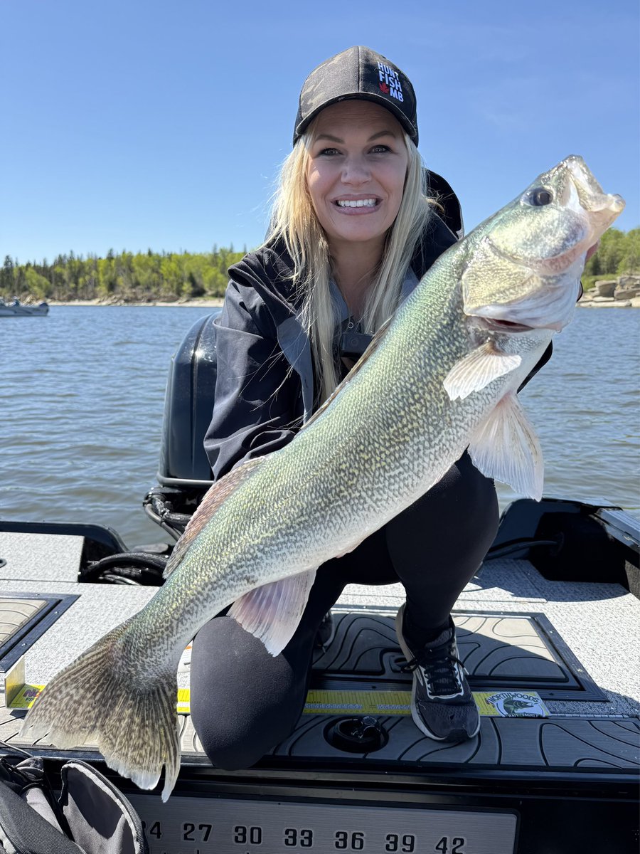 Hecla, Manitoba where walleye dreams are made of! Another Manitoba master angler. The biggest challenge was keeping 24 and 25” fish off! #huntfishmb 

#dsgfish #doingsomethinggreat