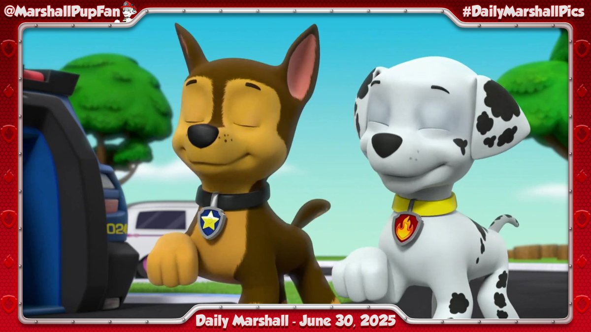 MarshallPupFan's tweet photo. Daily Marshall - June 30, 2025
#PAWPatrol #Marshall #DailyMarshallPics https://t.co/DGxEo1zNjc