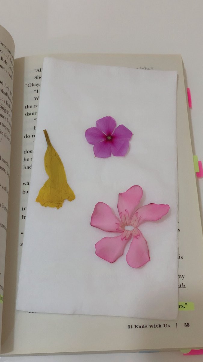 monasamehh's tweet photo. Pressed flowers >> https://t.co/rbEh1hUENF