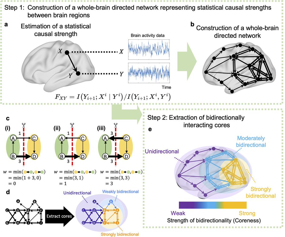 SfN Journals (@sfnjournals) on Twitter photo #JNeurosci: Findings from <a href="/_ttaguchi/">T.Taguchi</a> <a href="/JunKitazono/">Jun Kitazono</a> <a href="/shuxnys/">Shuntaro Sasai (笹井俊太朗)</a> and <a href="/oizumim/">Masafumi Oizumi</a> offer novel insights into how network cores with strong bidirectional interactions contribute to the mechanisms underlying conscious perception and cognitive functions.
vist.ly/3n5nakw #JNeurosci: Findings from <a href="/_ttaguchi/">T.Taguchi</a> <a href="/JunKitazono/">Jun Kitazono</a> <a href="/shuxnys/">Shuntaro Sasai (笹井俊太朗)</a> and <a href="/oizumim/">Masafumi Oizumi</a> offer novel insights into how network cores with strong bidirectional interactions contribute to the mechanisms underlying conscious perception and cognitive functions.
vist.ly/3n5nakw
