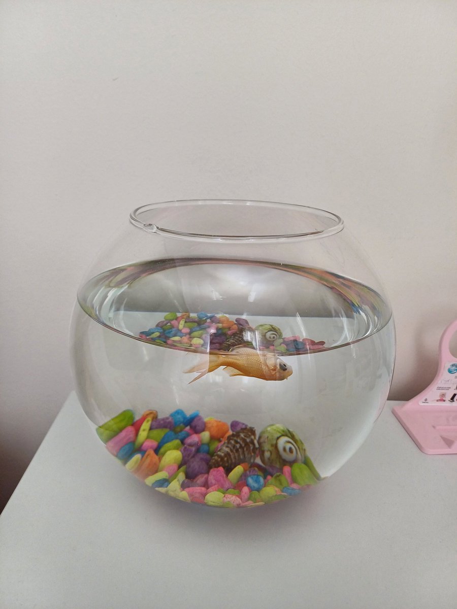 Balığım çok güzel ölü taklidi yapıyor gelen film ve dizi tekliflerine açığız 😅