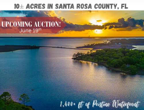 TargetAuctionCo's tweet photo. AUCTION ALERT! Bidding on this Beautiful piece of Waterfront Property starts June 12th and ends June 19th. For specific times and tour dates, check out our website! https://t.co/3tYR4tmFai #Waterfront #MulattoBayou #AuctionTime #BidToWin #TargetAuctionCo https://t.co/VgUuElvTPM
