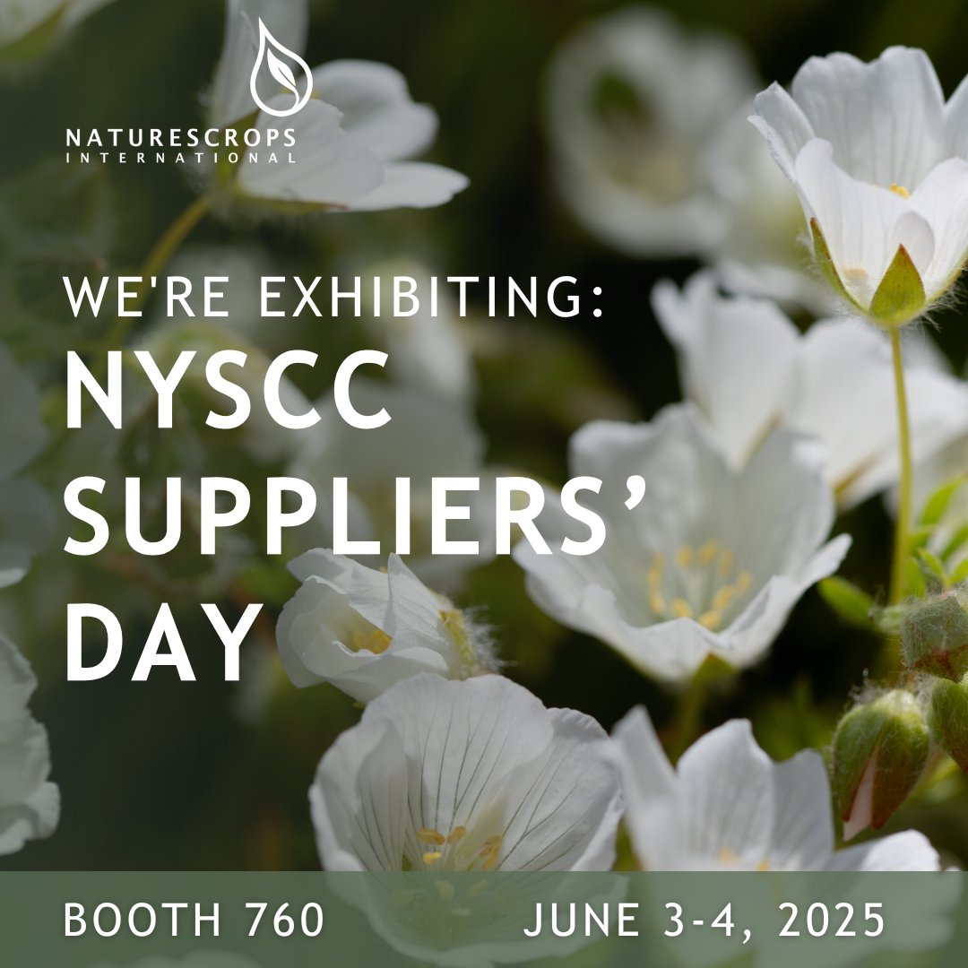 We're exhibiting at #SuppliersDay! We would love the opportunity to meet up with your team to discuss how our Natralipid® ingredients can elevate your brand. 

naturescrops.com/nyscc-2025

#PersonalCare #Ingredients #Meadowfoam #Ahiflower #Abyssinian