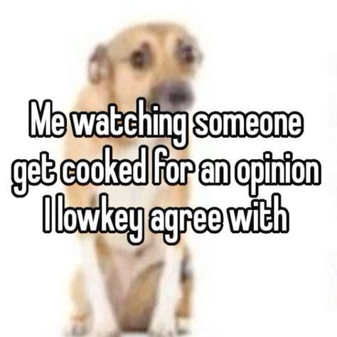 AlexøsStripes tweet media