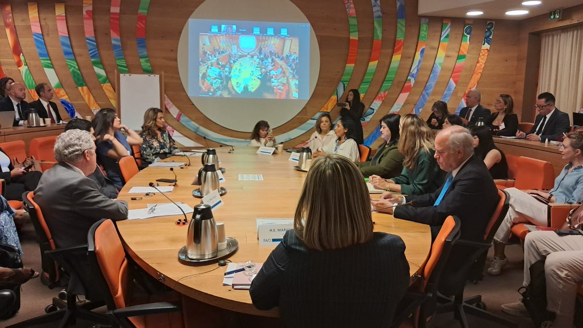 MisionChileFAO's tweet photo. Embajador Ennio Vivaldi participa en panel de la semana de la nutrición en la @FAO , con la presentación "Politicas públicas de consenso e investigación científica comprometida: Cómo #Chile erradicó la desnutrición y ahora enfrenta la malnutrición" https://t.co/SnfNhMXPbL