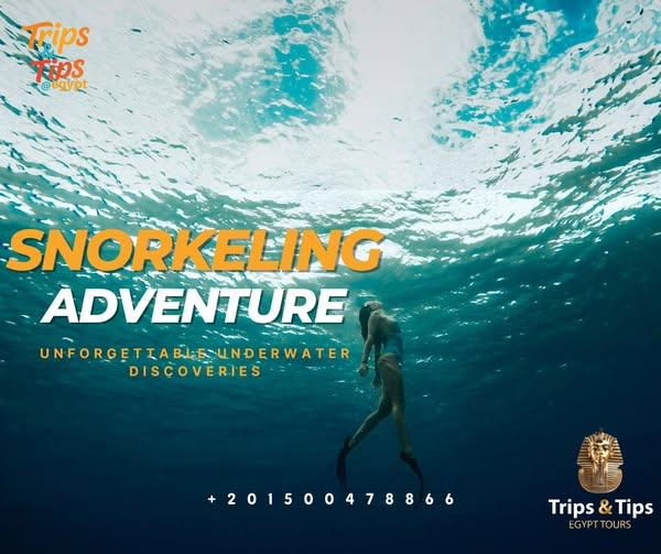 TRIPS_TIPS11's tweet photo. π Snorkeling the Red Sea? Letβs go! π
Explore vibrant reefs, marine life & crystal-clear waters β gear, guides, lunch & hotel pickup included!
π From Hurghada, Sharm & Marsa Alam
π² Book: 01500478866 | π https://t.co/DtRhqIemDl
#SnorkelingEgypt #RedSeaAdventure https://t.co/055pQeh98d