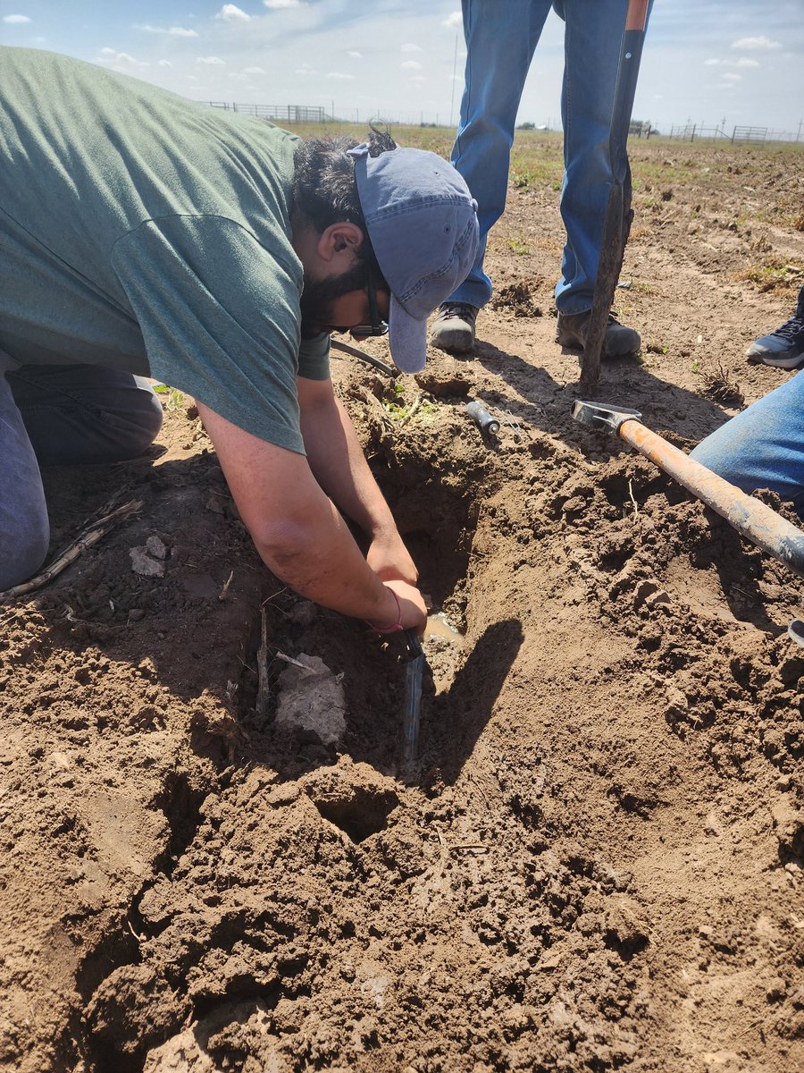 Saini DK (@sainidk10) on Twitter photo Field visit turned into a repair mission🥳🤟! Found our farm manager tackling leaks and joined in to get it sorted🙌🤞. Grateful for the team spirit and quick action👌🥳. 🙌 #FieldTrials <a href="/KJagadish_TTU/">Krishna Jagadish</a> <a href="/ISomayanda/">Impa Somayanda</a> #CropForageLivestockSystemsProgram Field visit turned into a repair mission🥳🤟! Found our farm manager tackling leaks and joined in to get it sorted🙌🤞. Grateful for the team spirit and quick action👌🥳. 🙌 #FieldTrials <a href="/KJagadish_TTU/">Krishna Jagadish</a> <a href="/ISomayanda/">Impa Somayanda</a> #CropForageLivestockSystemsProgram