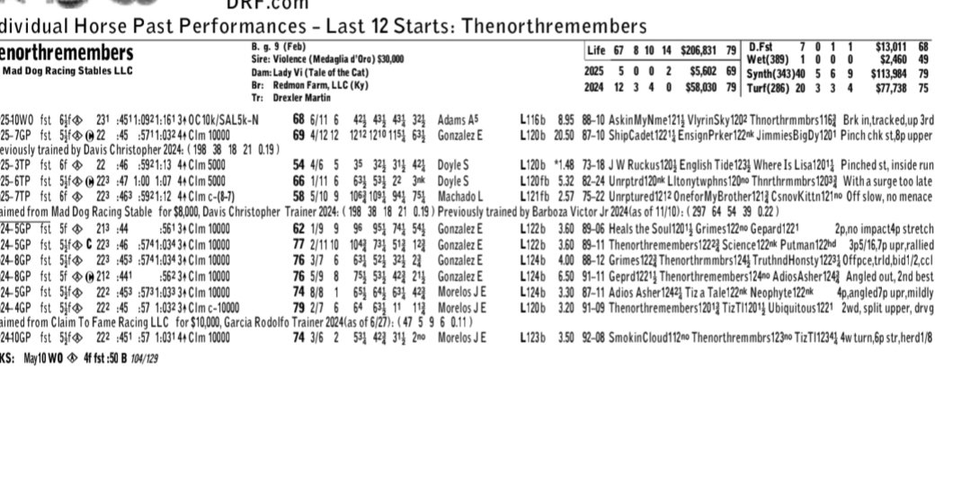 Jennifer Morrison (@jensblog) on Twitter photo Thenorthremembers, a 9 -year-old son of Violence, raced for 13 different trainers at 8 tracks. He was a battler, on his way to his 9th win <a href="/WoodbineTB/">Woodbine Racetrack</a> today before he broke his hind leg. 32 times in the top 3 in 68 races. This year, ky,fla and Wood, 12 days ago he tried hard. RIP Thenorthremembers, a 9 -year-old son of Violence, raced for 13 different trainers at 8 tracks. He was a battler, on his way to his 9th win <a href="/WoodbineTB/">Woodbine Racetrack</a> today before he broke his hind leg. 32 times in the top 3 in 68 races. This year, ky,fla and Wood, 12 days ago he tried hard. RIP