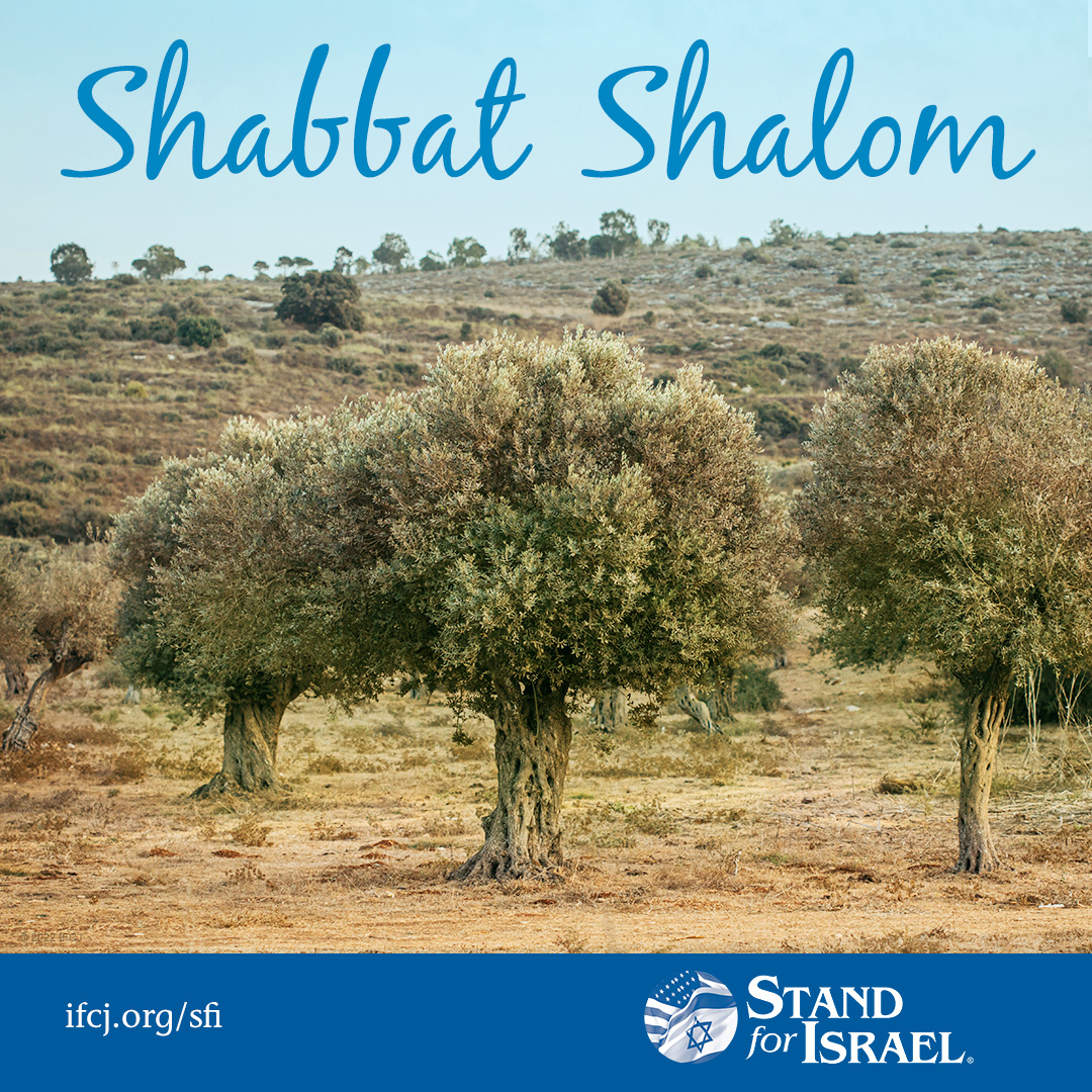 Shabbat Shalom from the Holy Land! How are you celebrating this shabbat?