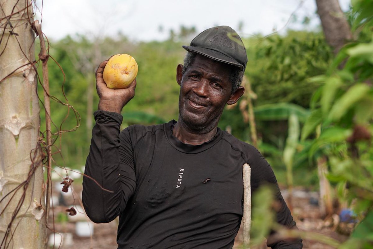 🌱 El 1 de junio celebramos el Día del Campesino y la Campesina, gracias a la Ley 2023 de 2022. Desde el SENA honramos su labor incansable por el territorio, la seguridad alimentaria y nuestras raíces.
#DíaDelCampesino #CampeSENA  💜💚