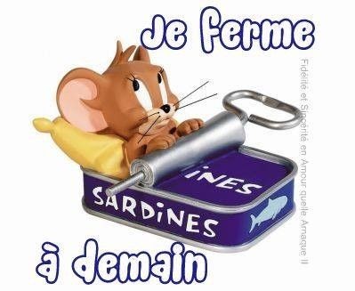 Bonne nuit 🌃 😴😴ma TL a demain bisous 😘😘❤️❤️