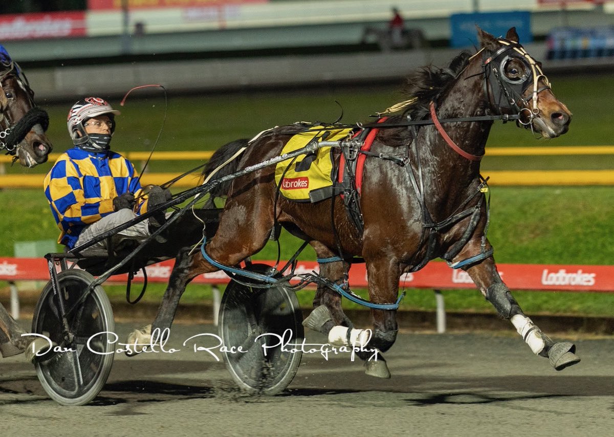 Tim & Riley Butt Racing (@trbuttracing) on Twitter photo Solid week for the team from 6 starters - great to end the week with a win for great supporters, Browns💪🏽
Team were all purchased as yearlings:
🥇Ribeiro
🥇Borella
🥇Botticelli
🥈Pretty Little Liar
🥉My Scimitar
Currently syndicating yearling pacing colt 📧 riley@rpbracing.com Solid week for the team from 6 starters - great to end the week with a win for great supporters, Browns💪🏽
Team were all purchased as yearlings:
🥇Ribeiro
🥇Borella
🥇Botticelli
🥈Pretty Little Liar
🥉My Scimitar
Currently syndicating yearling pacing colt 📧 riley@rpbracing.com